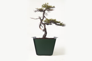 02ja1-53 jardinière