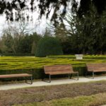 Banc simple en bois PESSAC-