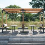 Collection Y ensemble picnic