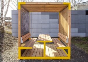 Collection Y ensemble picnic