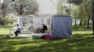 Collection Y - au bureau