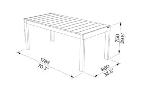 L2 Table bois 175cm SN110