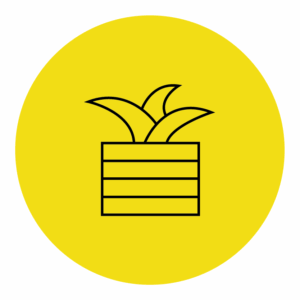 Jardinière