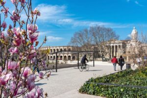 Ombrière tout acier avec filins LAURIS (3)