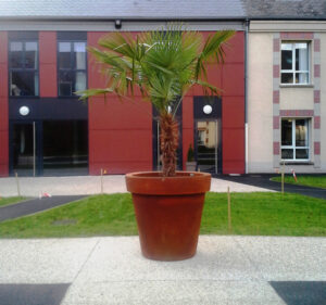 Grand pot à plantes béton GAVRUS