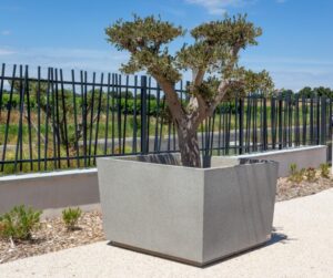 Jardinières béton arrosage intelligent HONFLEUR