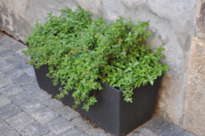 Jardinières béton différents formats ORBEC