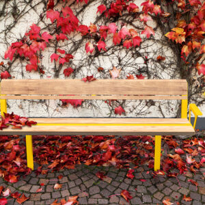 Banc intemporel bois FSC DAGNY