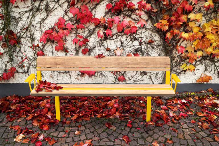 Banc intemporel bois FSC DAGNY