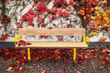Banc intemporel bois FSC DAGNY