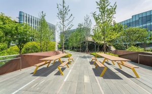 Grand ensemble de pique-nique inclusif VARRAINS (2)