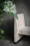 banc Forest