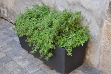 Jardinières béton différents formats ORBEC