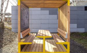 Collection Y ensemble picnic